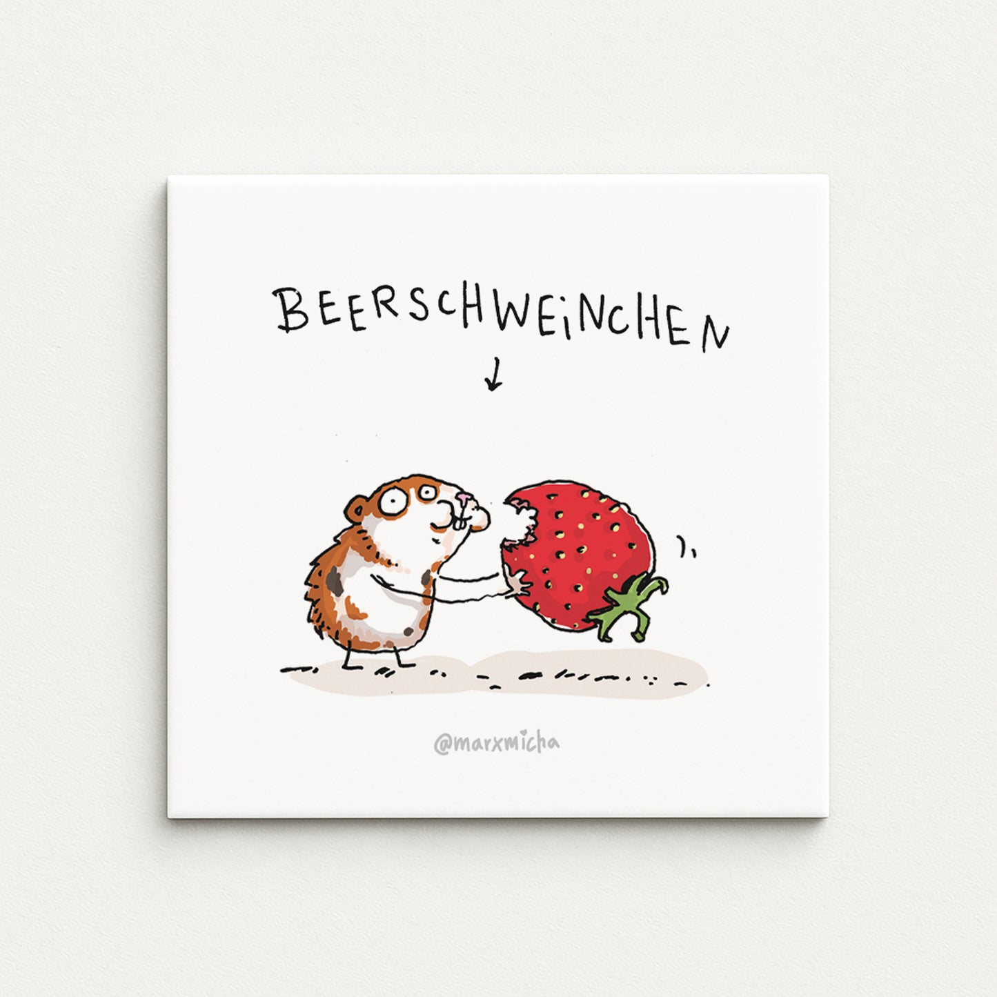 Meerschweinchen Kühlschrankmagnete-Set, 5 Stück