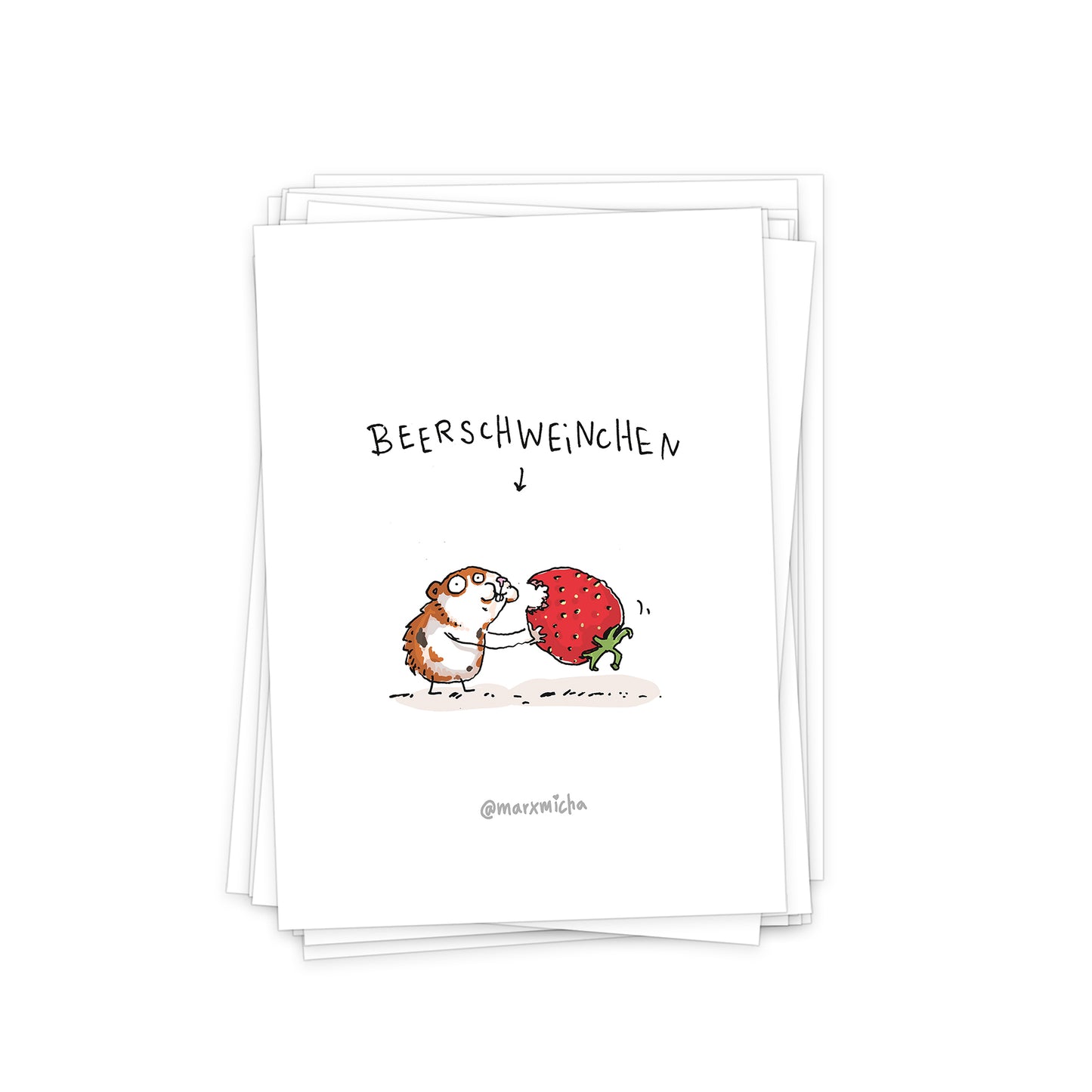 Meerschweinchen Postkartenset