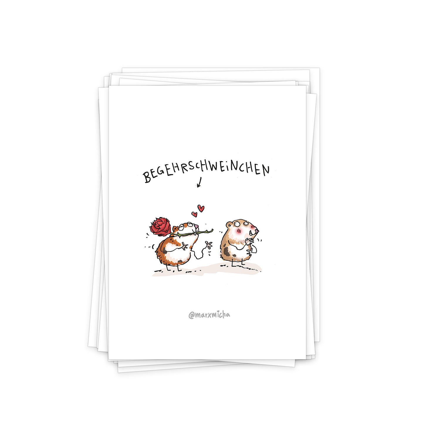 Meerschweinchen Postkartenset