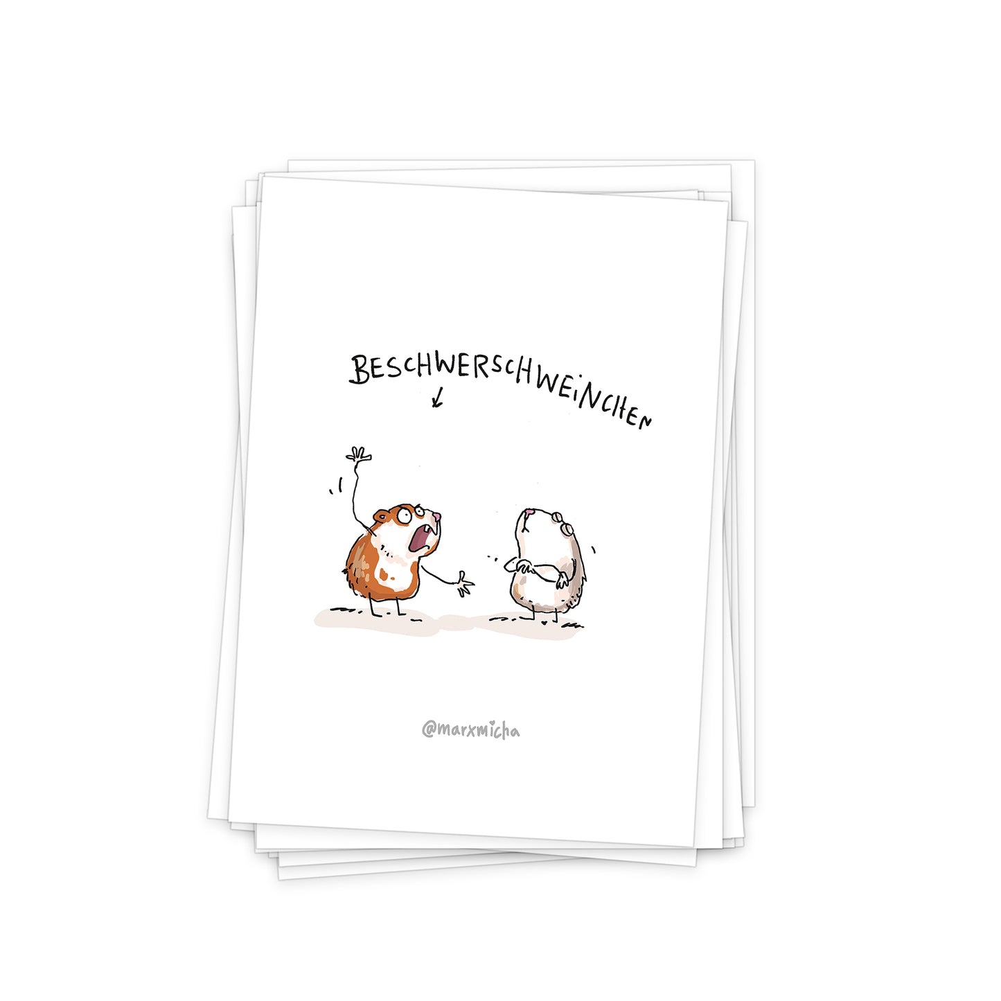 Meerschweinchen Postkartenset