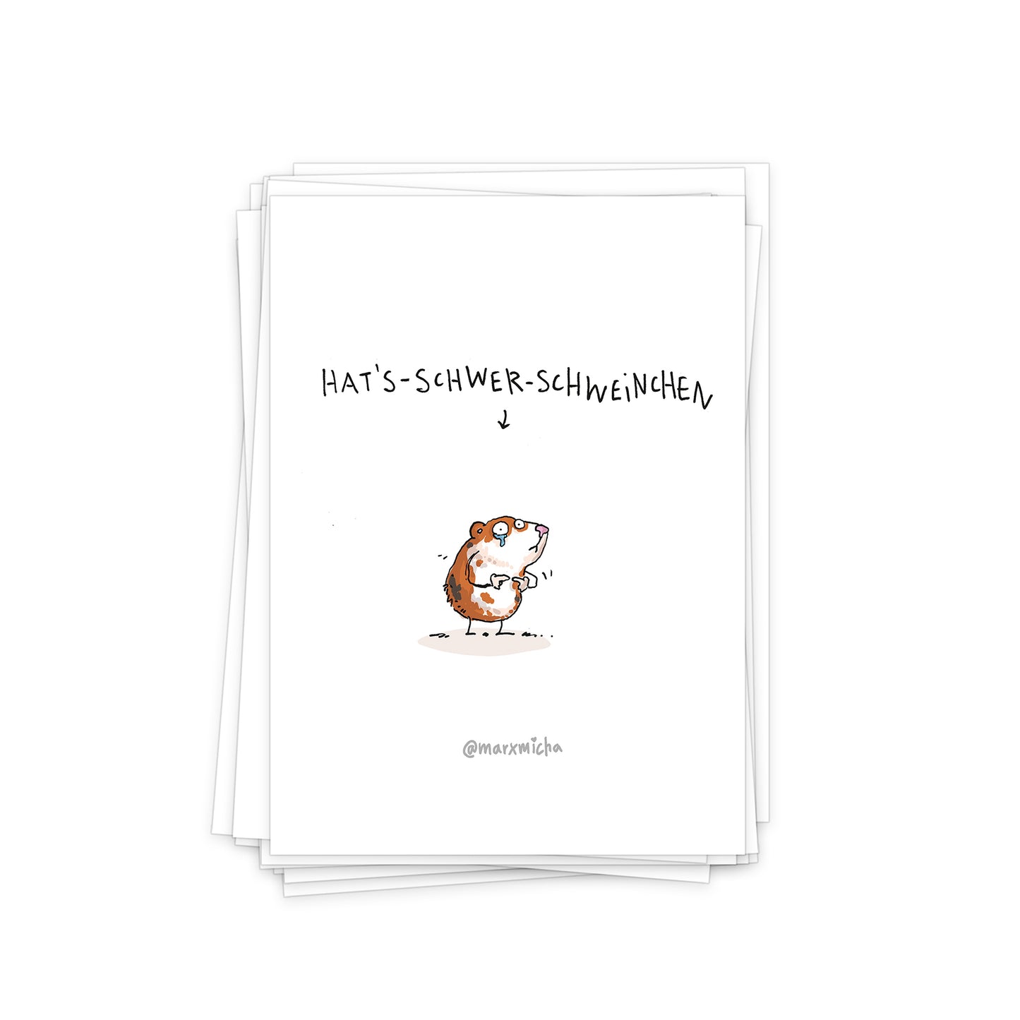 Meerschweinchen Postkartenset