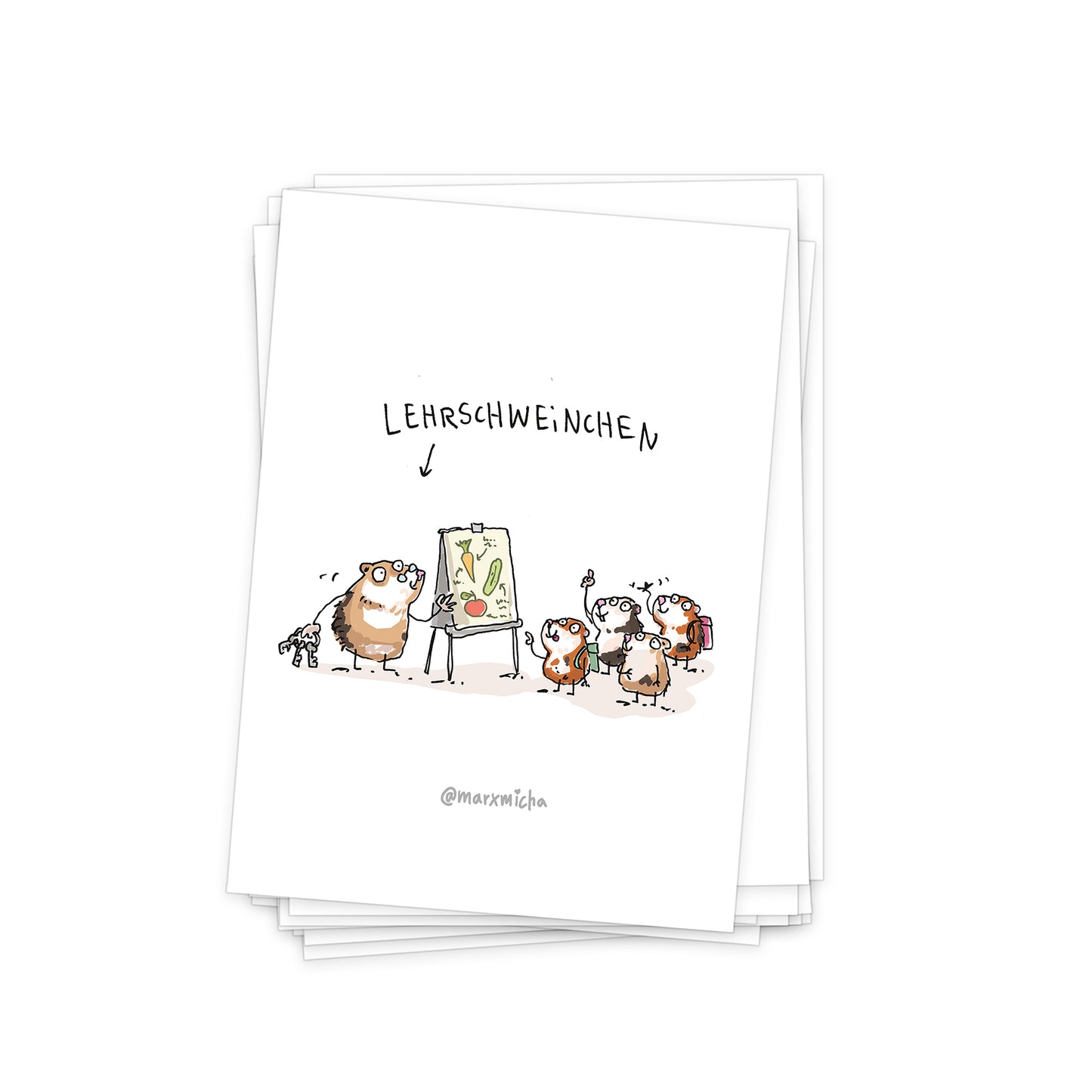 Meerschweinchen Postkartenset