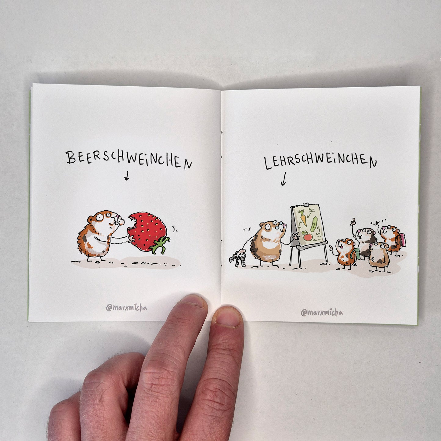 Meerschweinchen Miniheft
