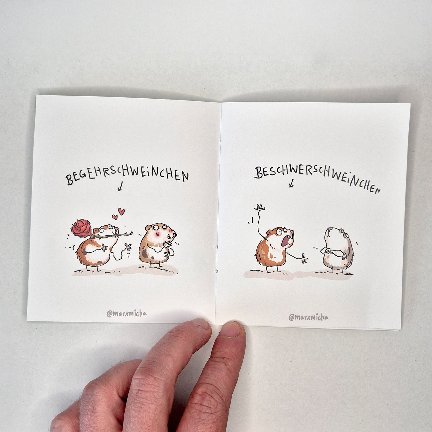 Meerschweinchen Miniheft