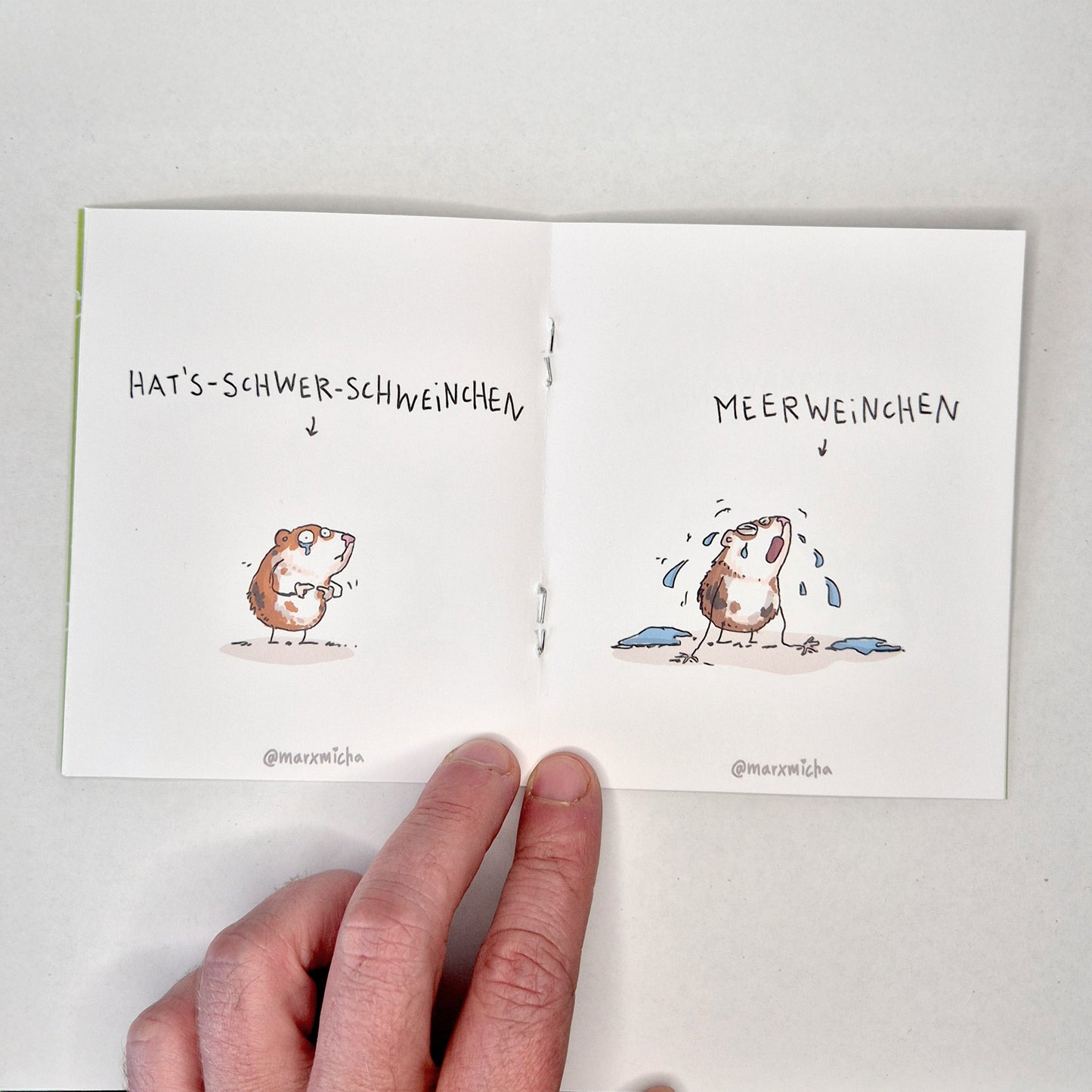 Meerschweinchen Miniheft