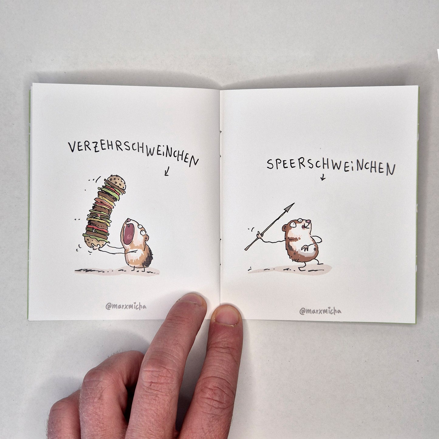 Meerschweinchen Miniheft