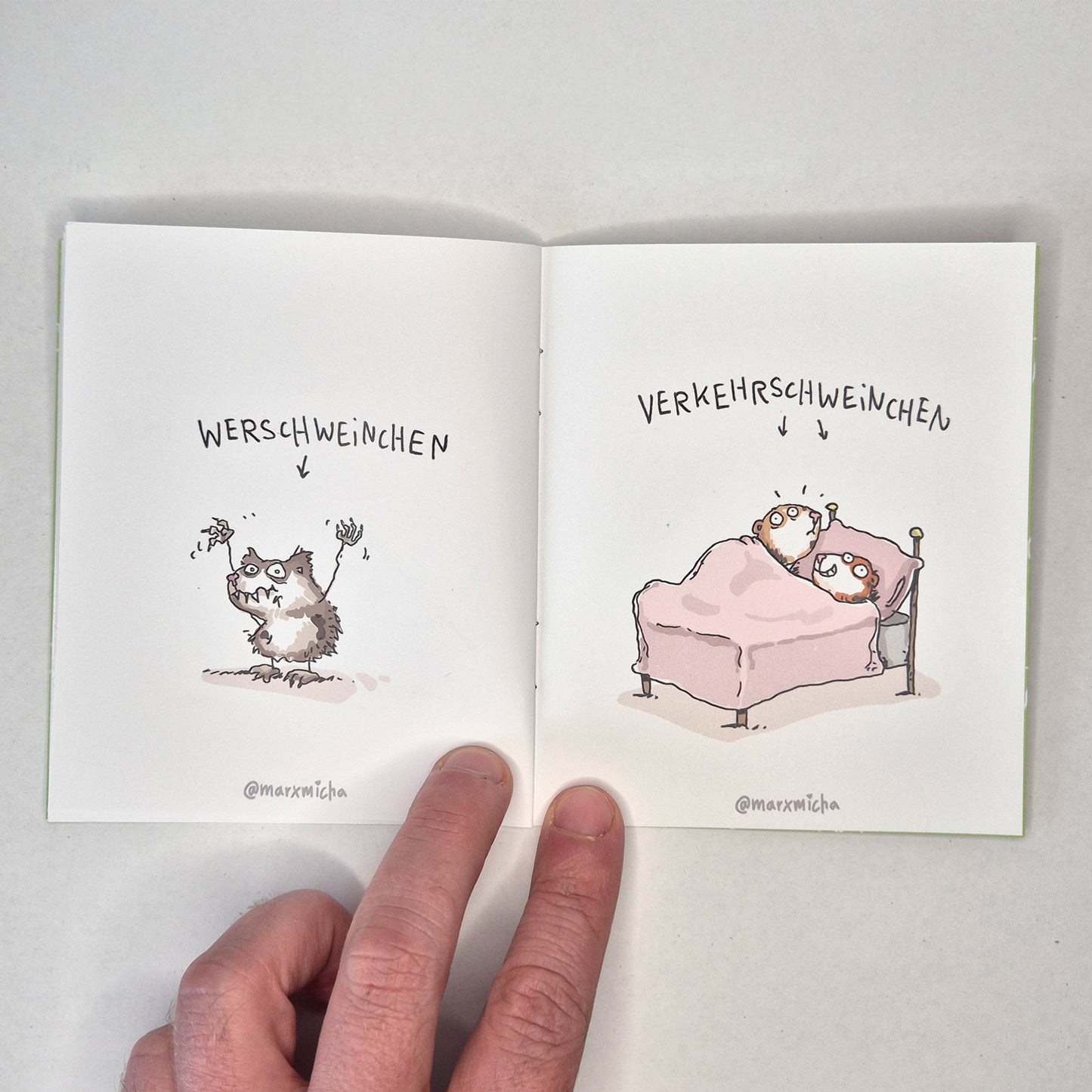 Meerschweinchen Miniheft