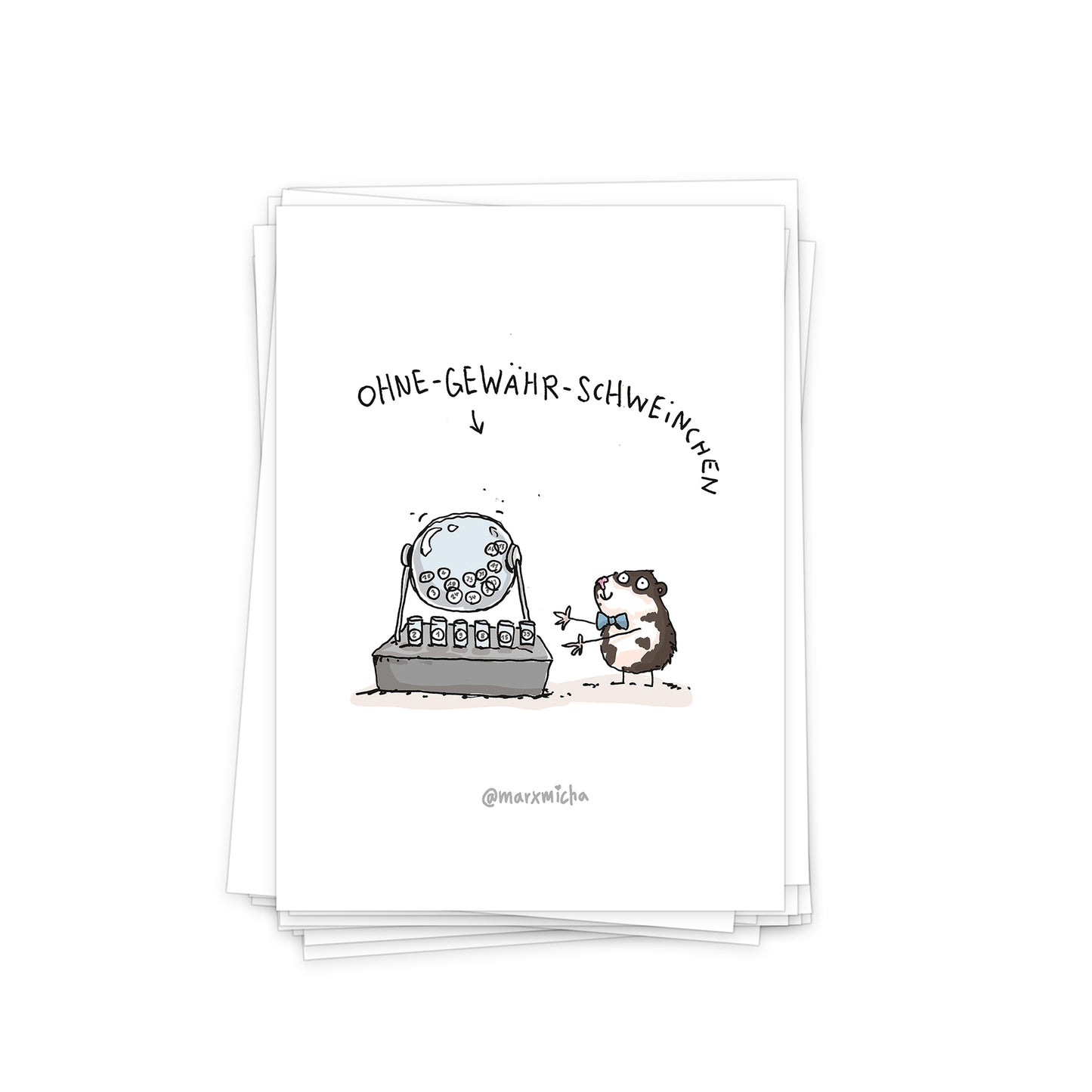 Meerschweinchen Postkartenset