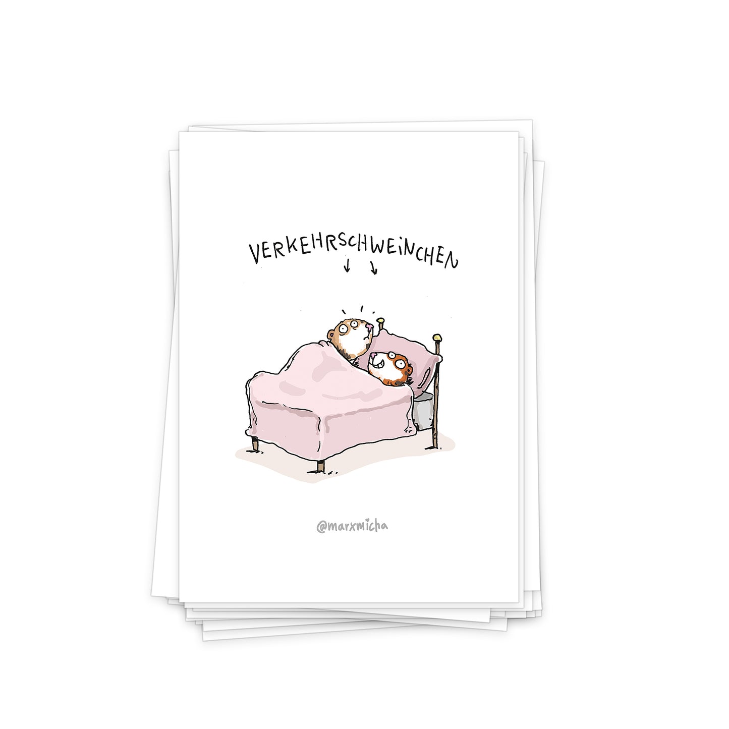 Meerschweinchen Postkartenset