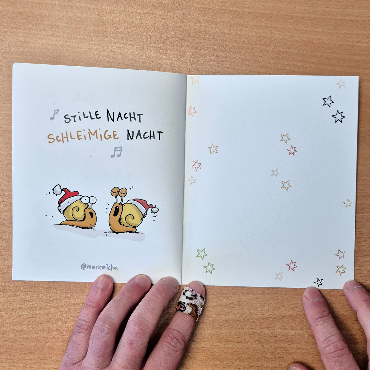 Weihnachtstierchen Liederheft