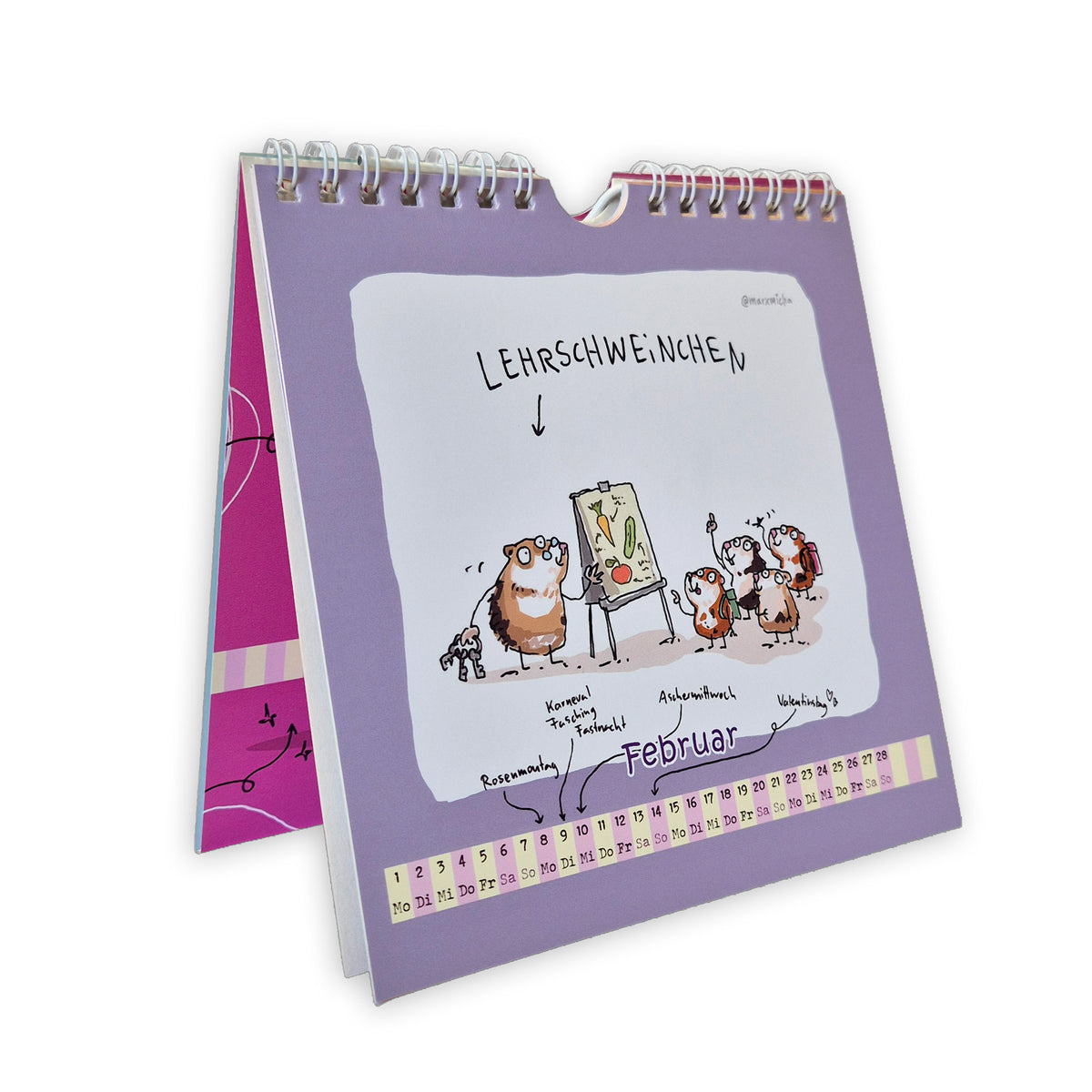 Meerschweinchen Kalender 2027