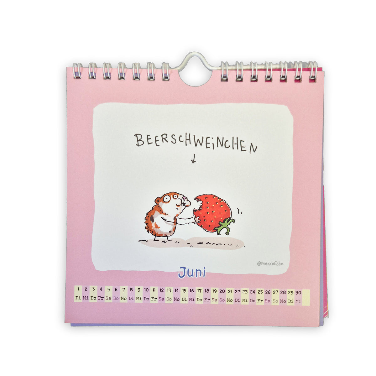 Meerschweinchen Kalender 2027