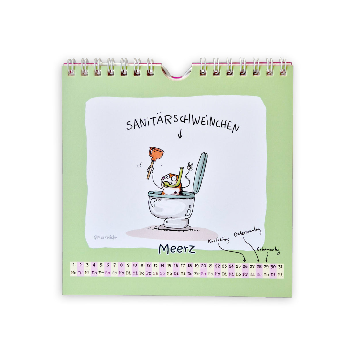 Meerschweinchen Kalender 2027