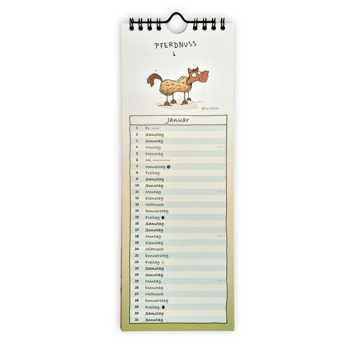 Kritzelpferde Wandkalender 2027