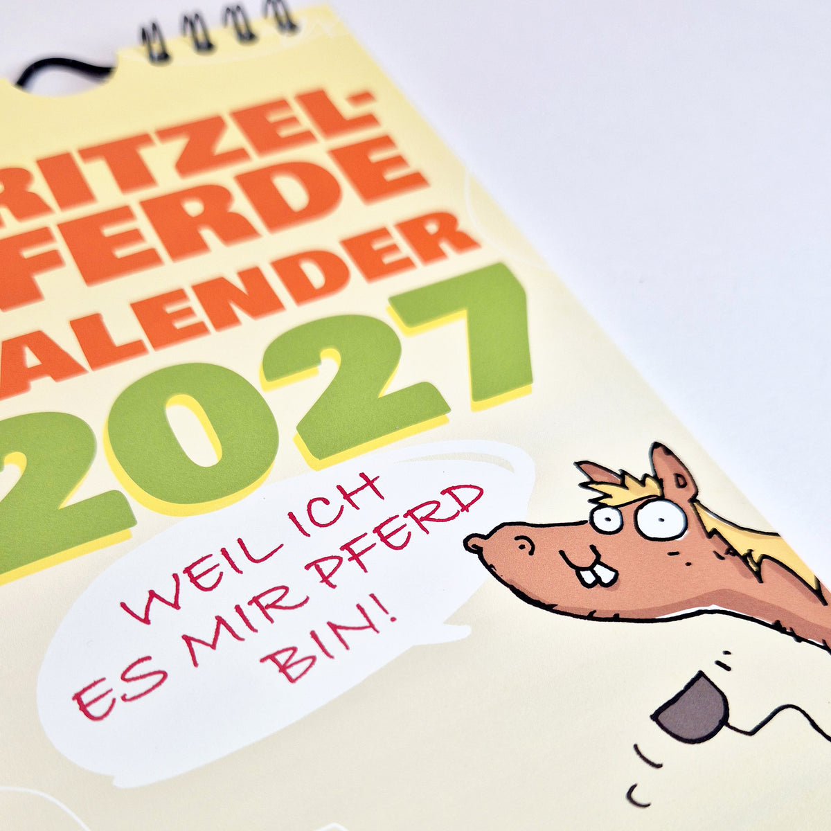 Kritzelpferde Wandkalender 2027