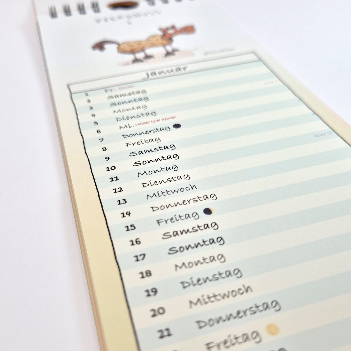 Kritzelpferde Wandkalender 2027